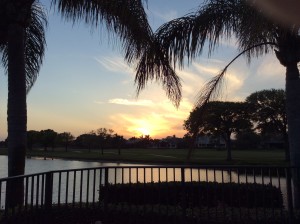 Palm trees and the lake framing the sunset