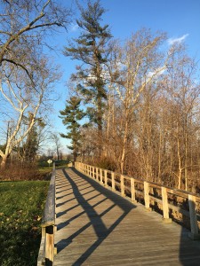 Walking the park on a winter day