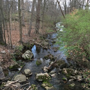 this creek runs through the woods behind my house and I love the way the sky reflects off the water